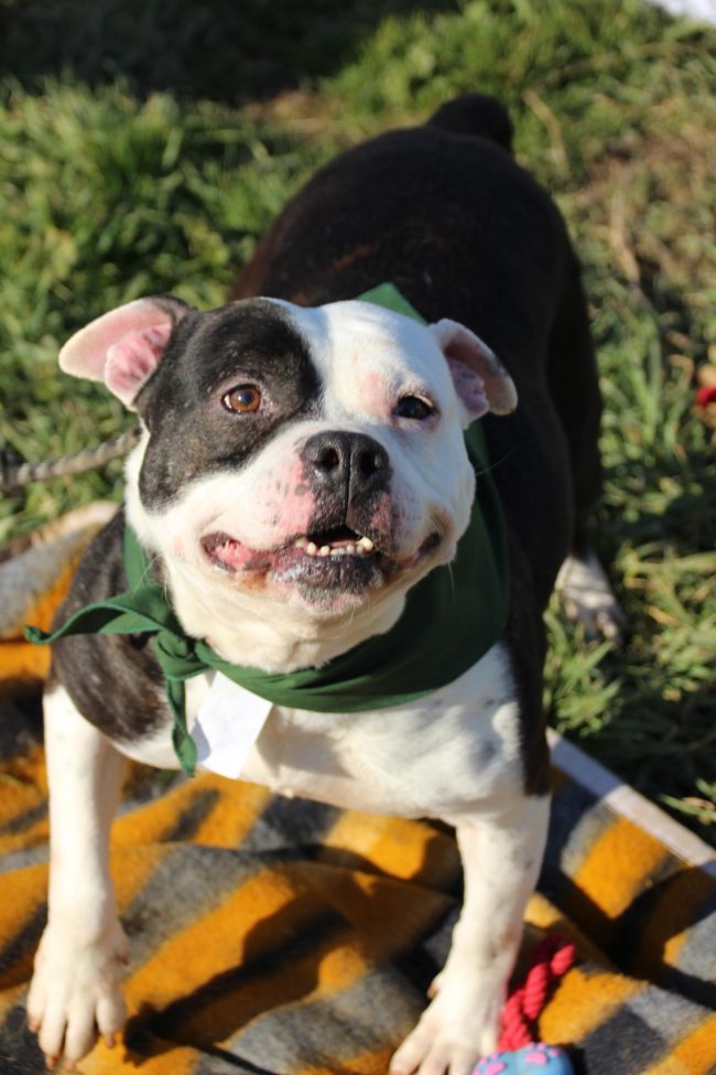 c35a8aa6-bb0a-4dd4-b231-8547e67f74d9-scaled