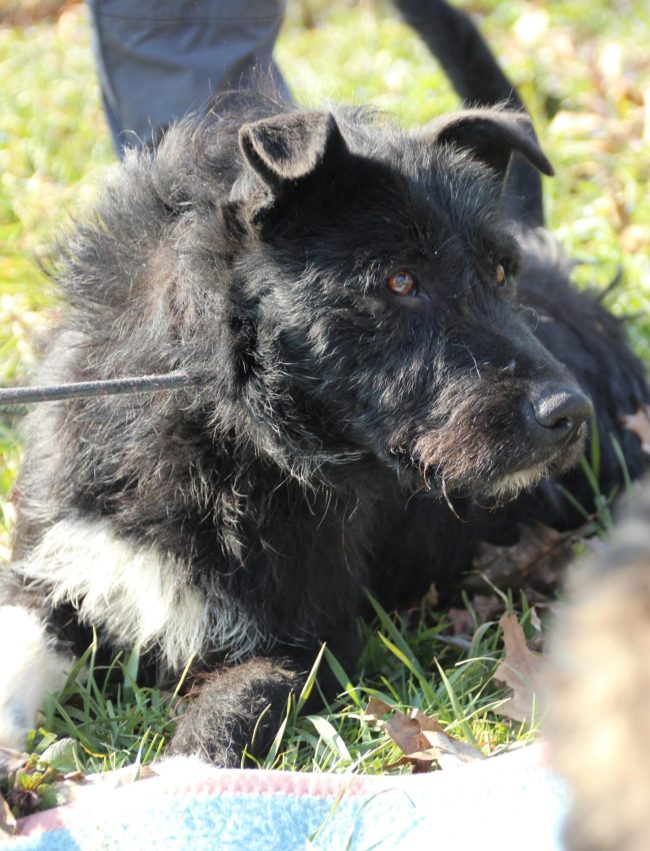 WhatsApp-Image-2025-02-22-at-20.19.07-scaled