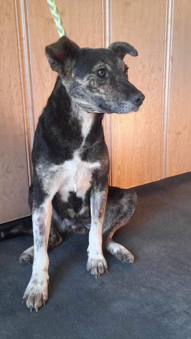 Kamilla-4-aspect-ratio-1080-1920