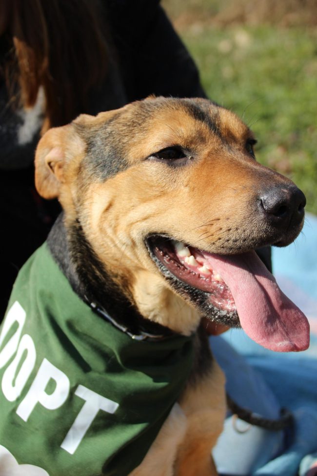 WhatsApp-Image-2025-02-22-at-20.12.35-scaled