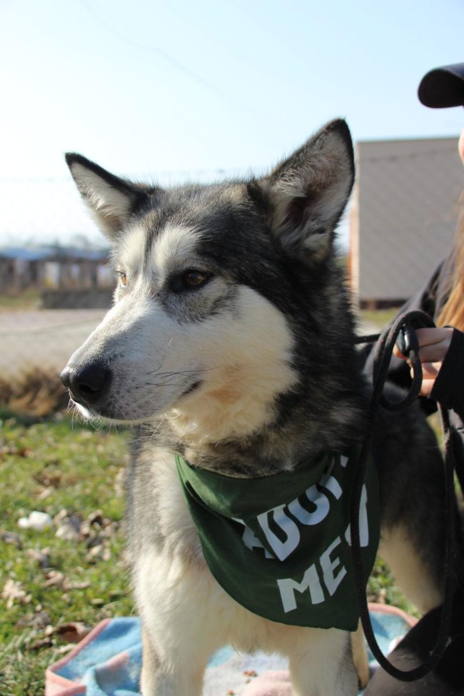 WhatsApp-Image-2025-02-22-at-20.14.30-scaled