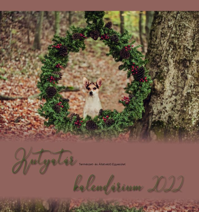 kutyanaptar_2022_1