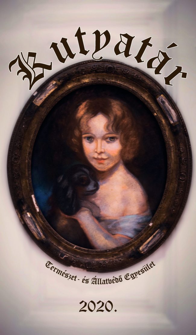 kutyatar_2020_01