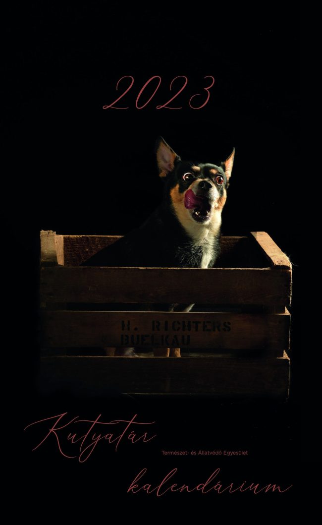 kutyatar_2023_01