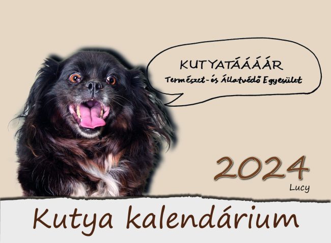kutyatar_2024_01