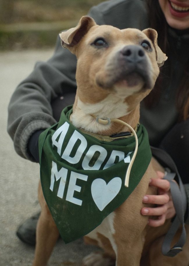 768df85d-2369-4b08-b60f-f36994b36c51