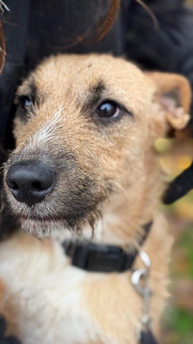 image2-1-scaled-aspect-ratio-1080-1920-scaled