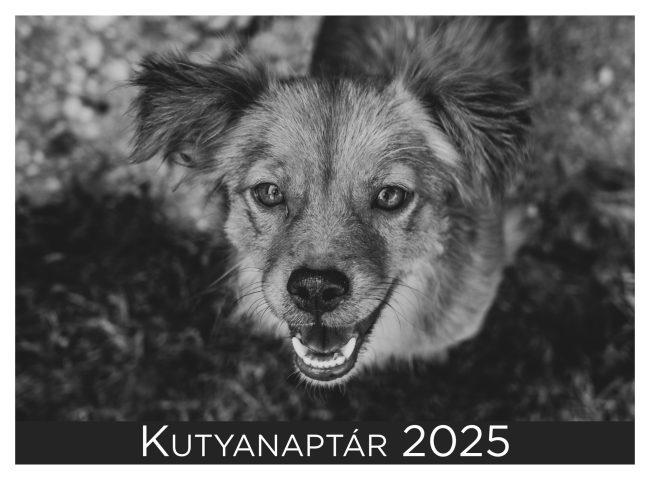 kutyanaptar_2025_1