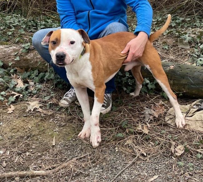 Nick3-aspect-ratio-1080-1920-1