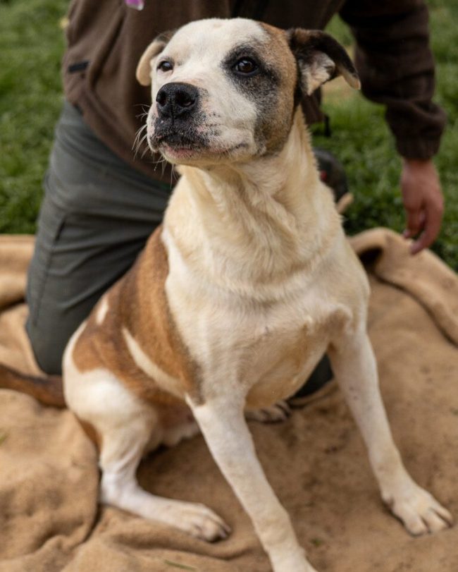 Miller5-aspect-ratio-1080-1920